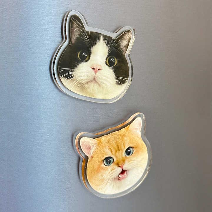 Custom Clear Acrylic Fridge Magnets - Custom WLD
