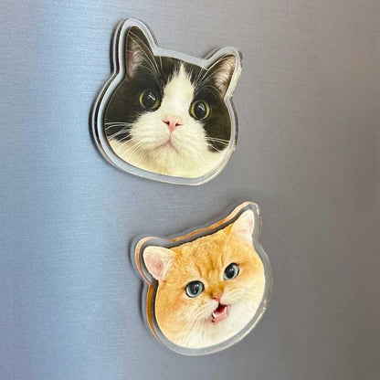 Custom Clear Acrylic Fridge Magnets - Custom WLD