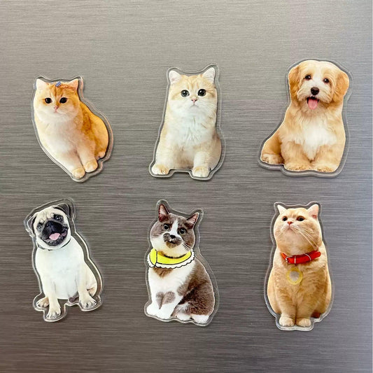 Custom Clear Acrylic Fridge Magnets - Custom WLD