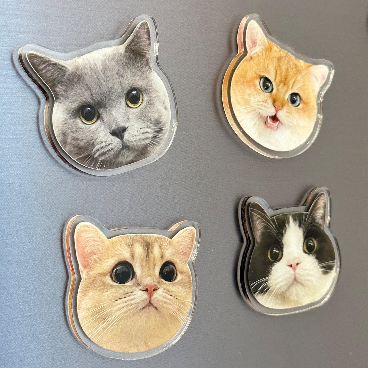 Custom Clear Acrylic Fridge Magnets - Custom WLD